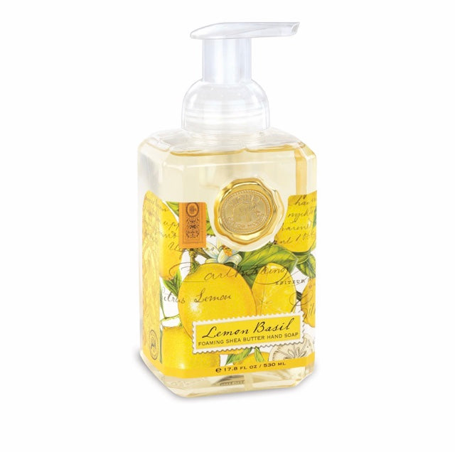 Michel Foaming Soap