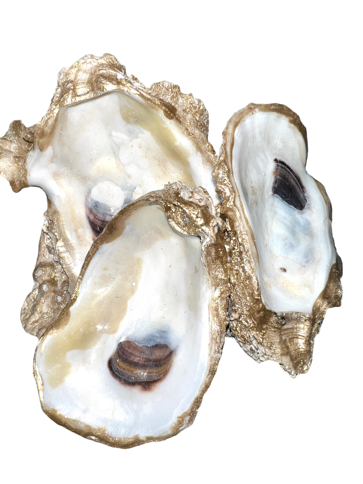 Oyster Creations